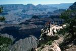 Grand Canyon West Rim - Figures & Trees, Arizona, U.S.A.