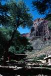 Hut, Tree & Red Cliff, Arizona, Grand Canyon, U.S.A.