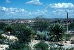 Information Centre - Cactus Garden, Texas, U.S.A.