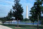 Washington Monument & Lake, Washington DC, U.S.A.