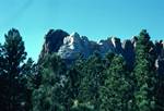 4 Presidents & Trees, Mount Rushmore, USA