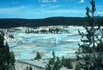 Norris Thermal Area - General View, Yellowstone Park, USA