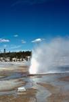 Norris Thermal Area - Fumerole, Yellowstone National Park, U.S.A.