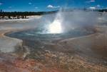 Norris Thermal Area - Exploding Geyser, Yellowstone National Park, U.S.A.