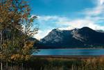Jackson Lake & Golden Trees, Grand Teton National Park, Wyoming, U.S.A.
