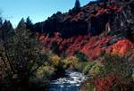 River & Tints, Logan Canyon, Utah, U.S.A.