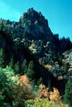 Rocky Peak & Trees, Logan Canyon, Utah, U.S.A.