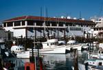 Harbour, Fisherman's Wharf, San Francisco, U.S.A.
