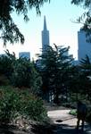 View of Telegraph Hill Gardens, San Francisco, U.S.A.