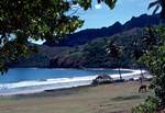 Bay, Open Grass, Frangipani Trees, Hiva Oa, Marquesas Islands