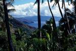Bay & Palms, Tahuata, Marquesas Islands