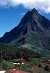 Mountain, Trees, Red Earth, Moorea, Tahiti