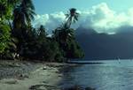 Sandy Beach, Palms, Mountains, Lagoon, Moorea, Polynesia