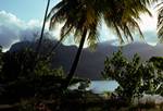 Mountains, Palms, near Lagoon Hotel, Moorea, Tahiti