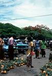 Market, Pines on Street, Suva, Fiji