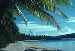 Beach & Palms, Yasawa Islands, Fiji
