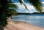 Beach, Palms, Yasawa Islands, Fiji