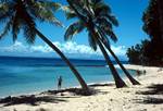 Leaning Palms, Yasawa Islands, Fiji