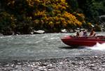 Jet Boat, Gorse & River, Shotover River, New Zealand