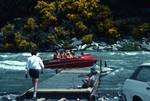 Shotover River - Jet Boat, Gorse, South Island, New Zealand