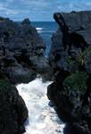 Gully, Sea & rocks, Punikaiki, New Zealand