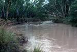 River, Queensland, Belyando River, Australia
