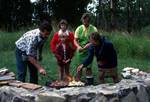 Mt Tambourine, Burton Family & E - Barbecue, Queensland, Brisbane, Australia