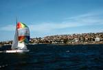 Harbour Cruise, Yachts & Rainbow Sail, New South Wales, Sydney, Australia