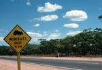 Wombats Crossing, New South Wales, Rodd, Near Blanchetown, Australia