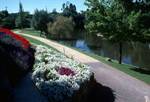 River Torrens & Flower Beds, South Australia, Adelaide, Australia