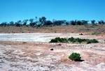 Salty Waste Desert, South Australia, Port Augusta to Coober Pedy, Australia