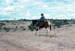Jackaroo on Horse, South Australia, Beyond Coober Pedy, Australia