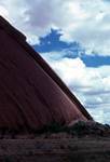 Kangaroo's Tail, Northern Territories, Ayers Rock, Australia