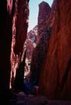 Standley Chasm - Light Not Yet Down to Ground, Northern Territories, Alice Springs, Australia