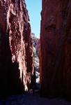 Figures in Shade at Bottom of Standley Chasm, Northern Territories, Alice Springs, Australia