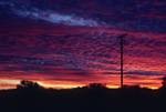Evening Sky, Trees, Telegraph Pole, Northern Territories, Renner Springs, Australia