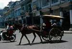 Horse Carriage, Bali - Denpasar, Indonesia