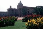 Government Buildings - Canna Lilies, Delhi, India