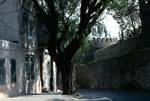 Street with Balconies Inside Rampart Wall, Baku, Azerbaijan