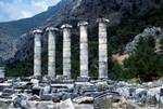 Columns on Mountain Side, Priene, Turkey