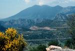 Mountain View & Broom, On Way to Delphi, Greece