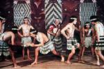 Maori Dancers, New Zealand