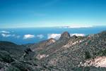 Forest of Canary Pines. Looking Down to Sea, Tenerife, Canary Islands