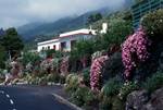 Flowery Village, La Palma, Canary Islands