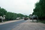 Avenue of Stone Animals, Ming Tombs, China