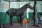 Archeological Site - Horse & Warrior, Sian, China