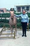 Archeological Site - Horse & Anna, Sian, China