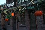 Commune - Pumpkins Growing Outside Factory, Sian, China
