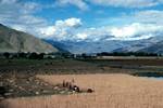 Farming Scene, Lhasa Valley, Tibet