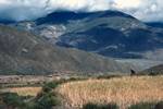 Looking Down Valley, Towards Khamba La, Tibet